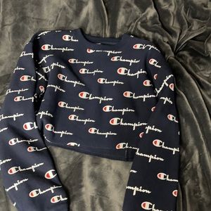 champion cropped sweatshirt